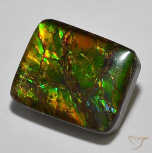 amolita Multicolor natural de 16.01 ct, Forma Cojín, Opaco