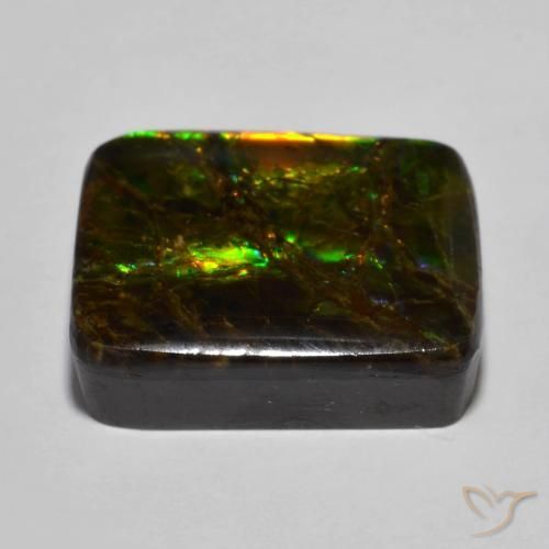 amolita Multicolor natural de 16.01 ct, Forma Cojín, Opaco