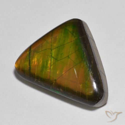 amolita Multicolor natural de 13.83 ct, Elegante, Opaco