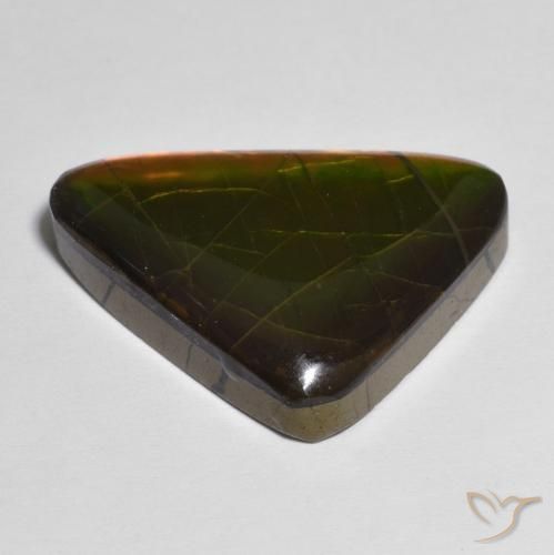 amolita Multicolor natural de 13.83 ct, Elegante, Opaco