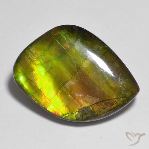 15.05ct Natural Multicolor amolita, Elegante, Opaco