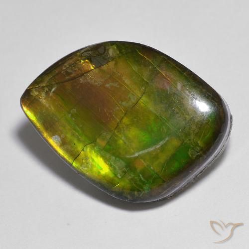 amolita Multicolor natural de 15.05 ct, Elegante, Opaco