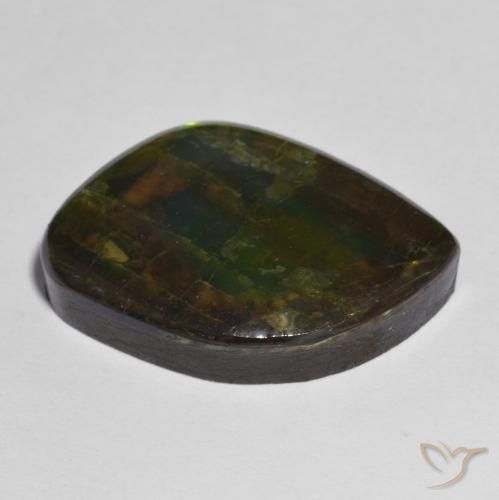amolita Multicolor natural de 15.05 ct, Elegante, Opaco
