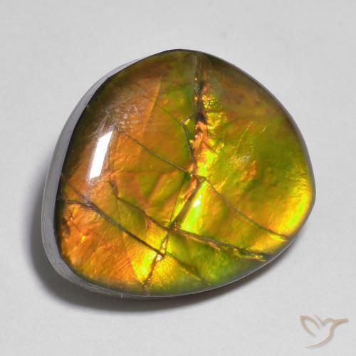 amolita Multicolor natural de 10.33 ct, Elegante, Opaco