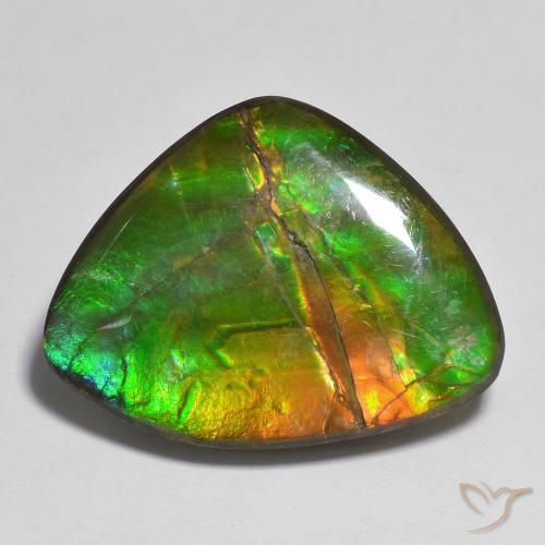 17.37ct Natural Multicolor amolita, Elegante, Opaco