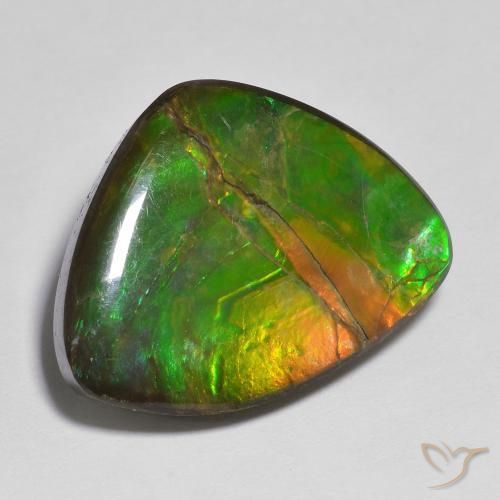 amolita Multicolor natural de 17.37 ct, Elegante, Opaco