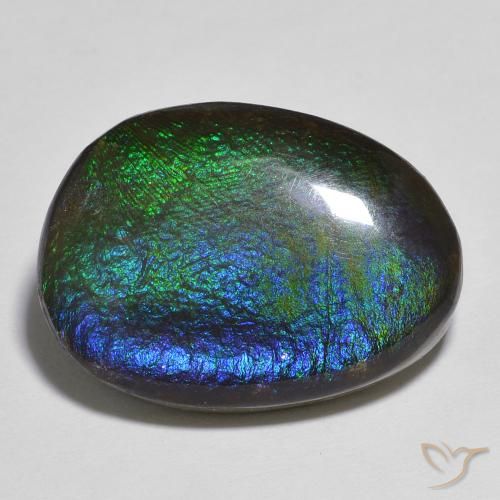 13.91ct Natural Multicolor amolita, Elegante, Opaco