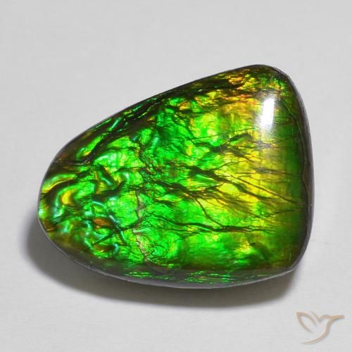 12.13ct Natural Multicolor amolita, Elegante, Opaco