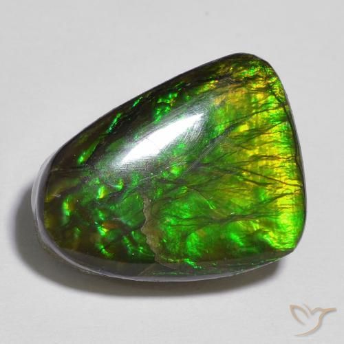 amolita Multicolor natural de 12.13 ct, Elegante, Opaco