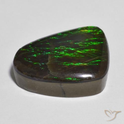 amolita Multicolor natural de 12.13 ct, Elegante, Opaco