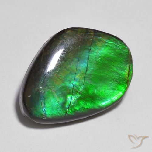 11.06ct Natural Multicolor amolita, Elegante, Opaco