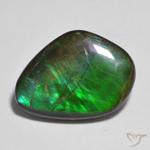 amolita Multicolor natural de 11.06 ct, Elegante, Opaco
