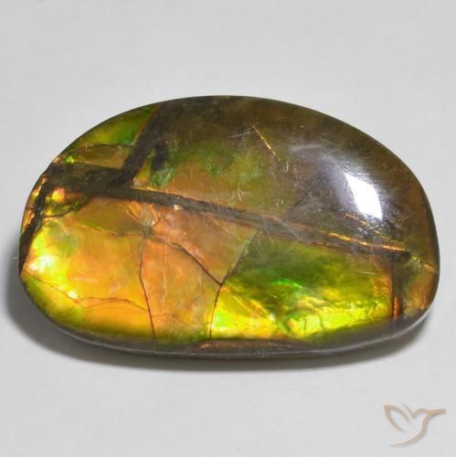 17.79ct Natural Multicolor amolita, Elegante, Opaco