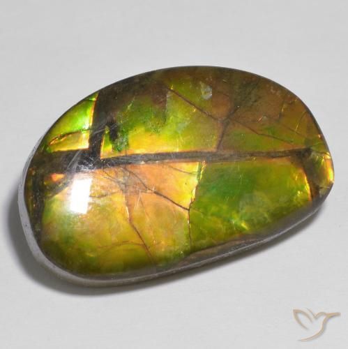 amolita Multicolor natural de 17.79 ct, Elegante, Opaco