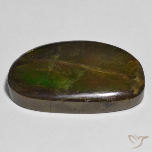 amolita Multicolor natural de 17.79 ct, Elegante, Opaco