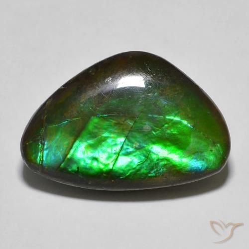 13.27ct Natural Multicolor amolita, Elegante, Opaco