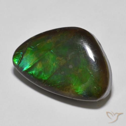 amolita Multicolor natural de 13.27 ct, Elegante, Opaco