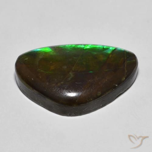 amolita Multicolor natural de 13.27 ct, Elegante, Opaco