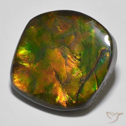16.97ct Natural Multicolor amolita, Elegante, Opaco