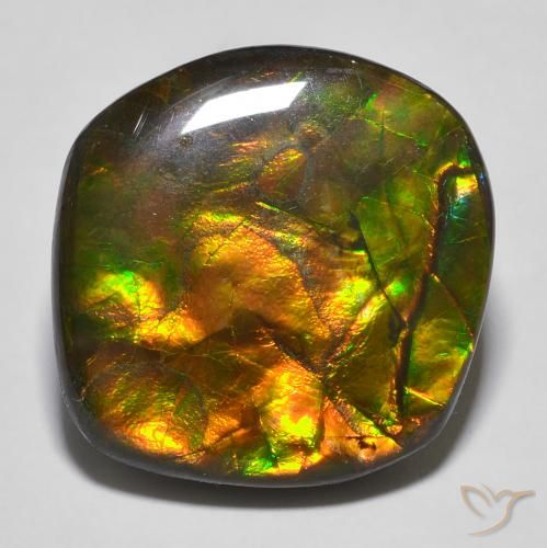 amolita Multicolor natural de 16.97 ct, Elegante, Opaco
