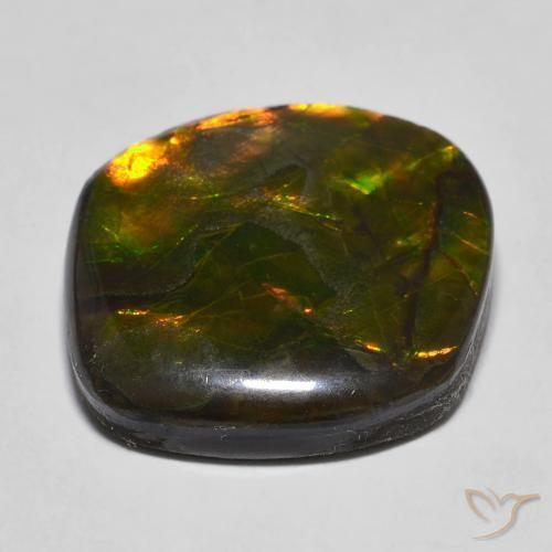 amolita Multicolor natural de 16.97 ct, Elegante, Opaco