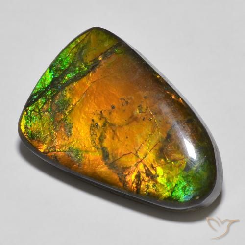 16.68ct Natural Multicolor amolita, Elegante, Opaco