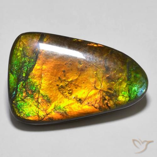 amolita Multicolor natural de 16.68 ct, Elegante, Opaco