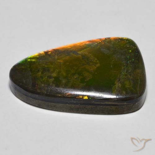 amolita Multicolor natural de 16.68 ct, Elegante, Opaco