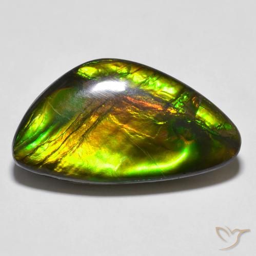14.81ct Natural Multicolor amolita, Elegante, Opaco