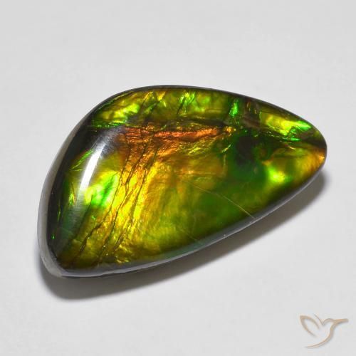 amolita Multicolor natural de 14.81 ct, Elegante, Opaco