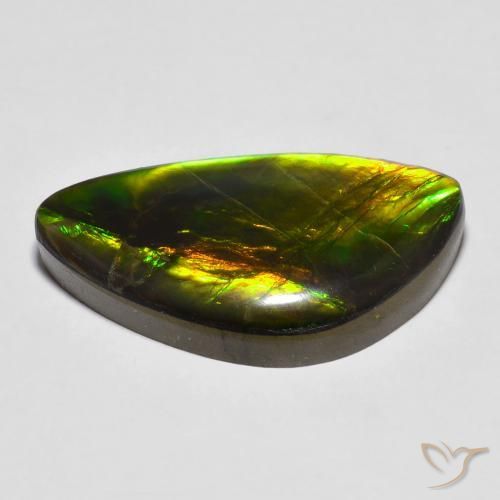 amolita Multicolor natural de 14.81 ct, Elegante, Opaco