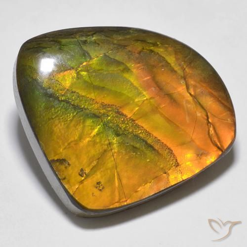 amolita Multicolor natural de 20.15 ct, Elegante, Opaco