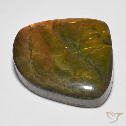 amolita Multicolor natural de 20.15 ct, Elegante, Opaco