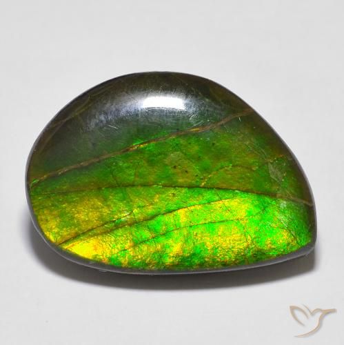 16.43ct Natural Multicolor amolita, Elegante, Opaco
