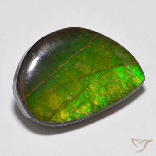 amolita Multicolor natural de 16.43 ct, Elegante, Opaco