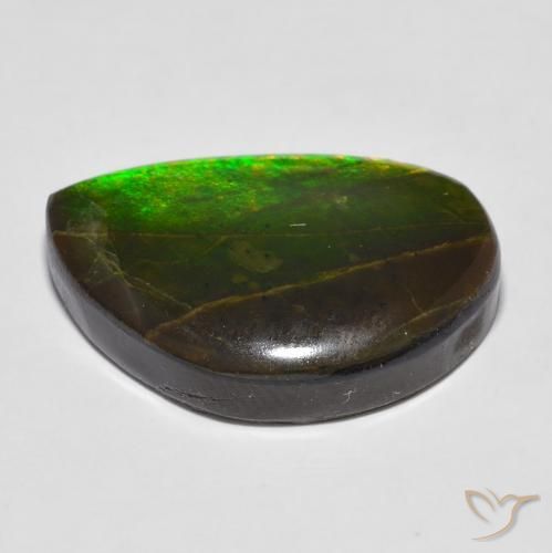 amolita Multicolor natural de 16.43 ct, Elegante, Opaco