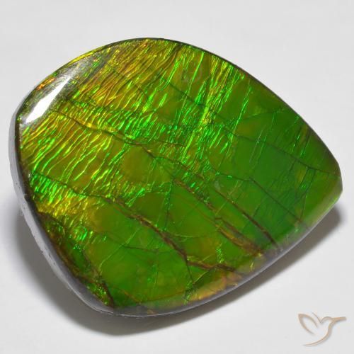 amolita Multicolor natural de 24.62 ct, Elegante, Opaco