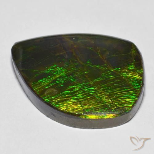 amolita Multicolor natural de 24.62 ct, Elegante, Opaco