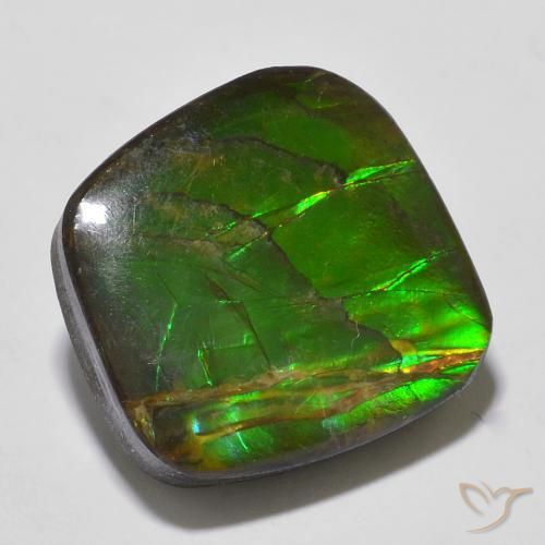 13.53ct Natural Multicolor amolita, Elegante, Opaco