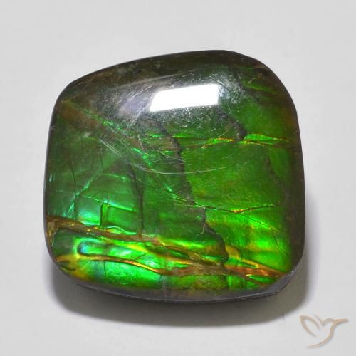 amolita Multicolor natural de 13.53 ct, Elegante, Opaco