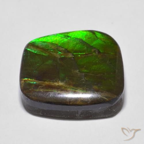 amolita Multicolor natural de 13.53 ct, Elegante, Opaco