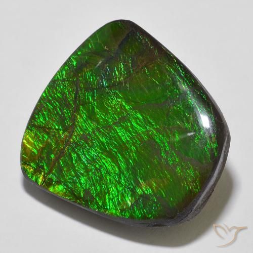 amolita Multicolor natural de 18.43 ct, Elegante, Opaco