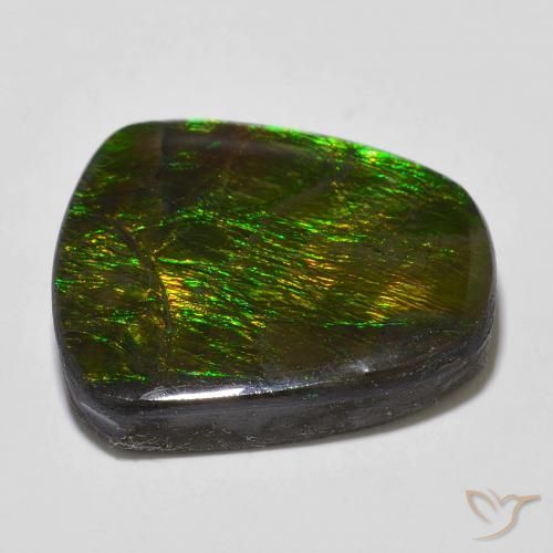 amolita Multicolor natural de 18.43 ct, Elegante, Opaco