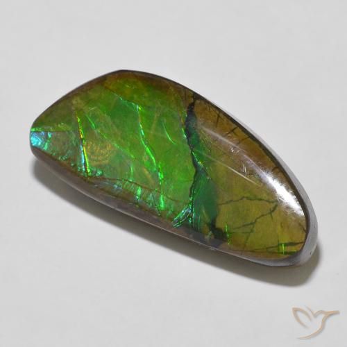 amolita Multicolor natural de 12.56 ct, Elegante, Opaco