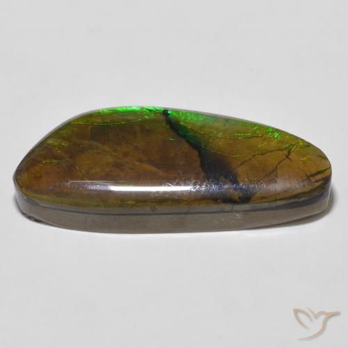 amolita Multicolor natural de 12.56 ct, Elegante, Opaco