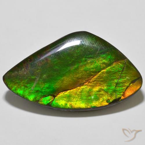23.11ct Natural Multicolor amolita, Elegante, Opaco