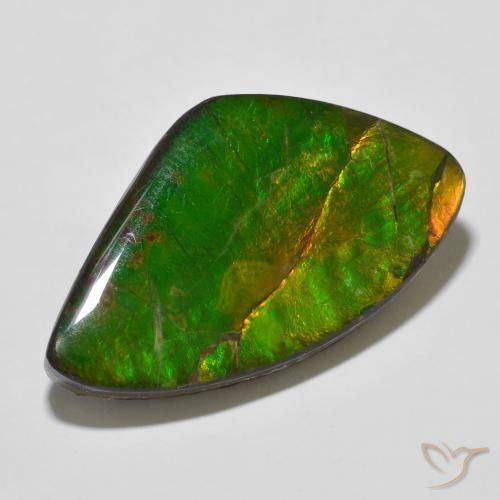 amolita Multicolor natural de 23.11 ct, Elegante, Opaco