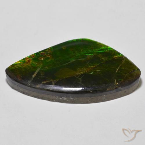amolita Multicolor natural de 23.11 ct, Elegante, Opaco
