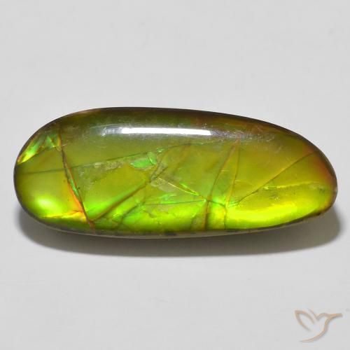 14.67ct Natural Multicolor amolita, Elegante, Opaco