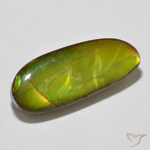 amolita Multicolor natural de 14.67 ct, Elegante, Opaco